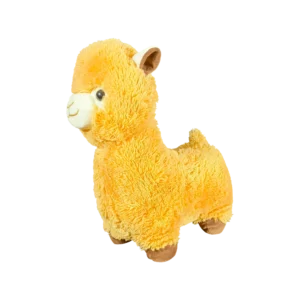 Shop Secondary Image