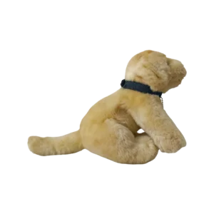 Shop Secondary Image