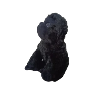 Shop Secondary Image