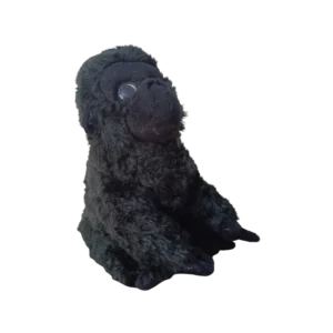 Shop Primary Image Shop Primary Image